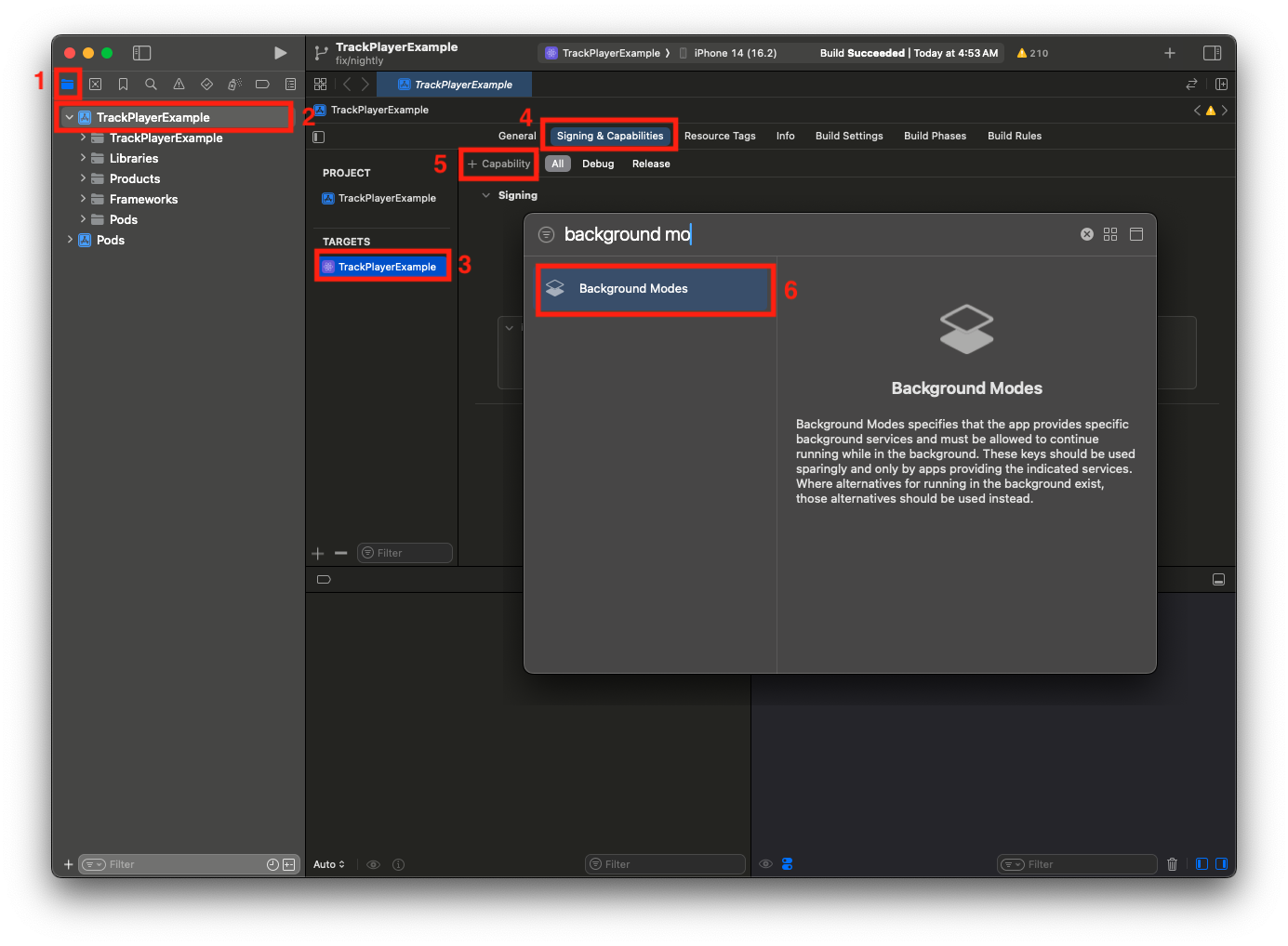 Enable Background Modes