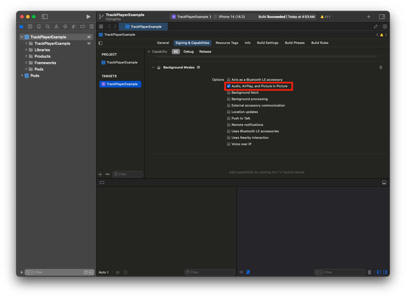Enable Background Audio
